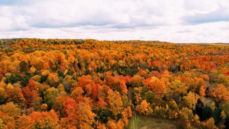 Overhead shot of Oro-Medonte in the fall season