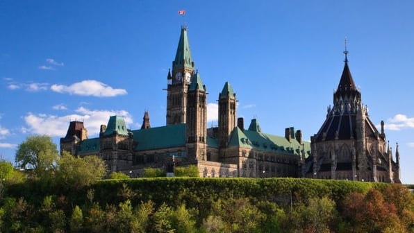 Understanding What Drives Local Government Professionals
